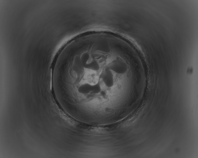 X0000091641175200708301352