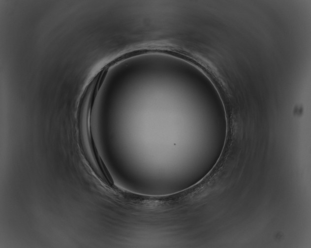 X0000091641176200708301352