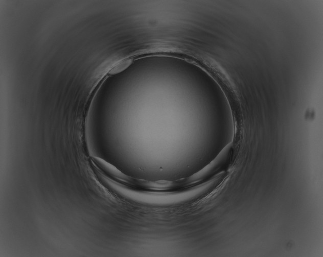 X0000091641177200708301352