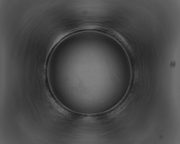 X0000091641178200708301352