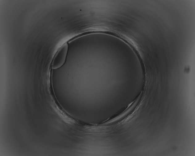 X0000091641179200708301352