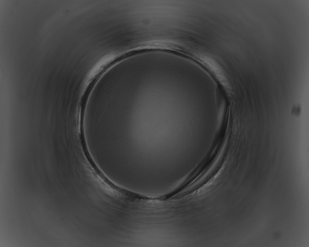 X0000091641180200708301352
