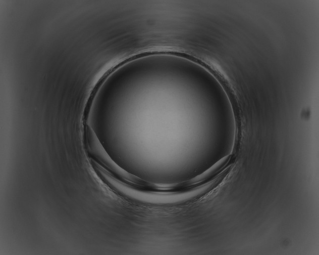 X0000091641181200708301352