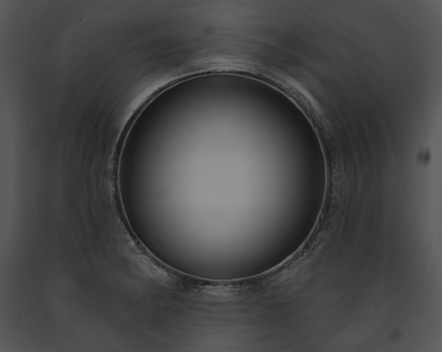 X0000091641182200708301352