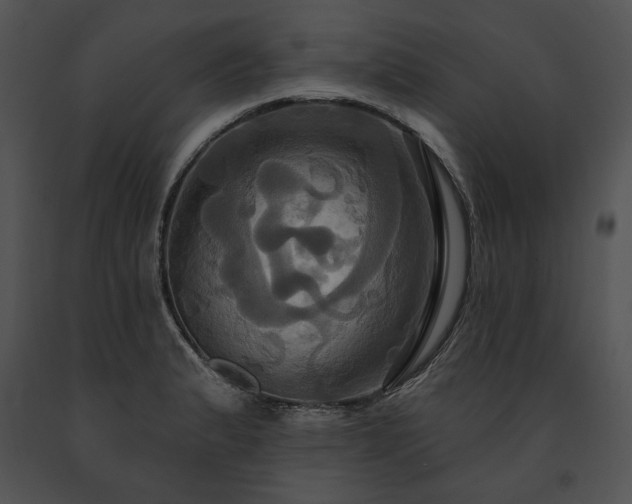 X0000091641183200708301352