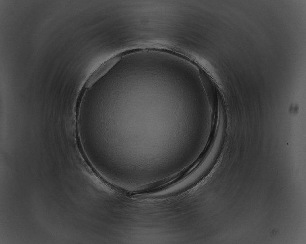 X0000091641184200708301352