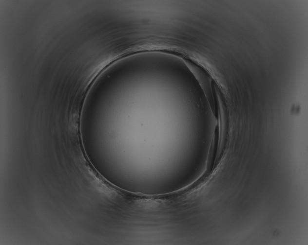 X0000091641185200708301352