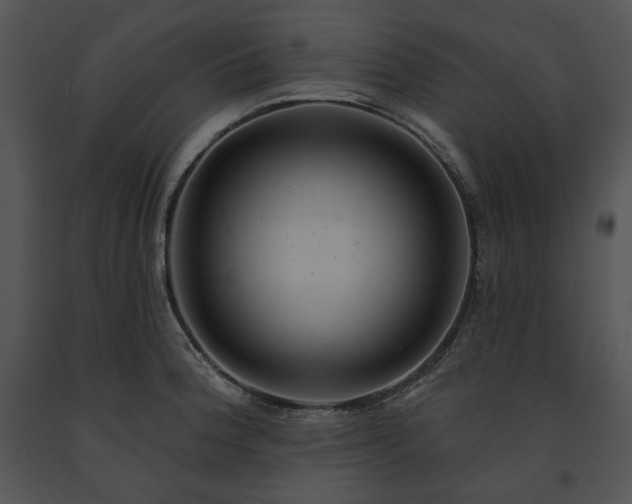 X0000091641188200708301352