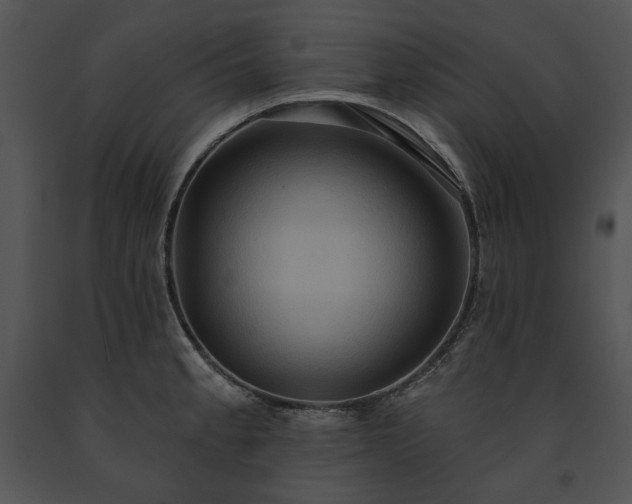 X0000091641189200708301352