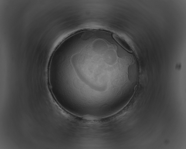 X0000091641191200708301352