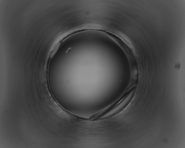 X0000091641192200708301352