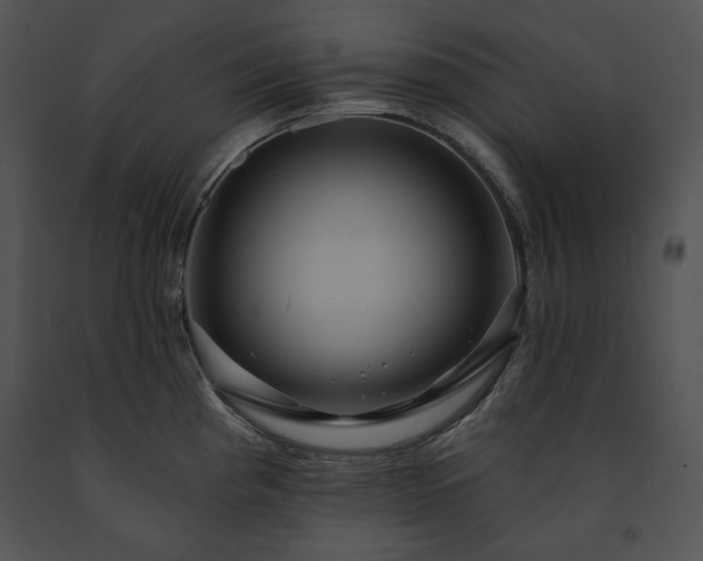 X0000091641193200708301352