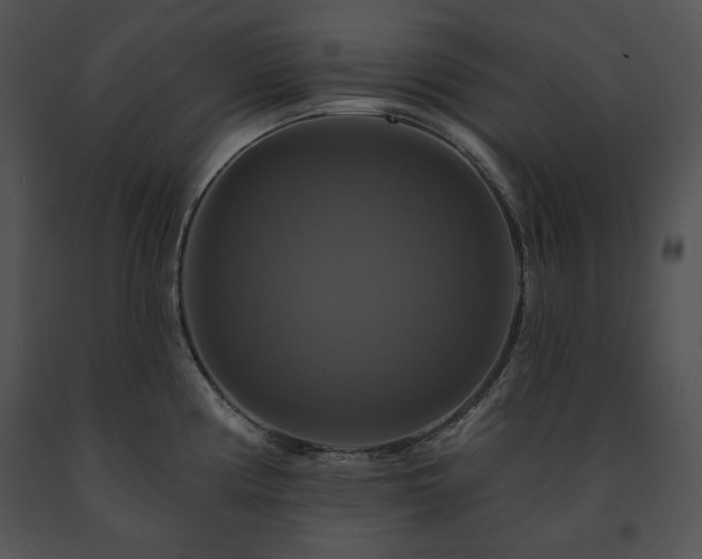 X0000091641194200708301352