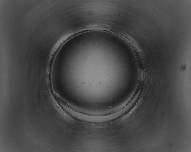 X0000091641196200708301352