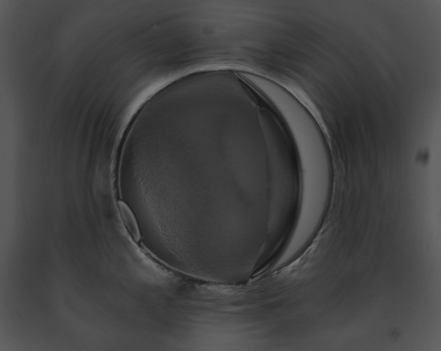 X0000091641197200708301352