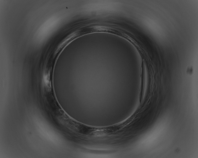 X0000091641198200708301352