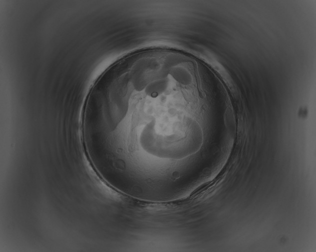 X0000091641199200708301352