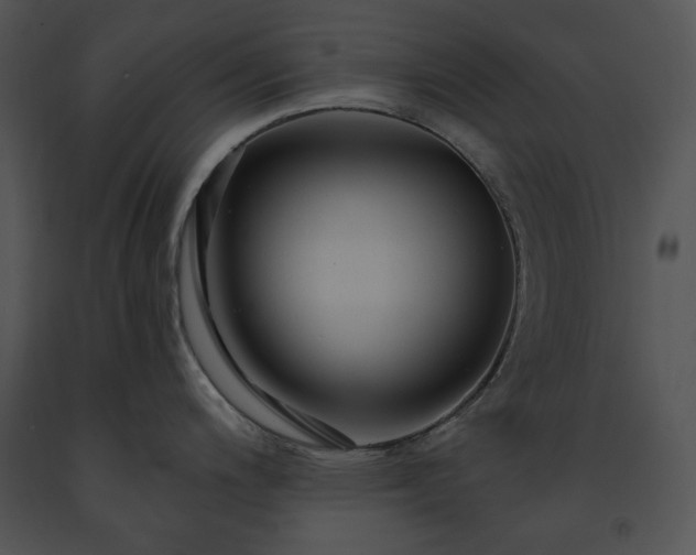 X0000091641200200708301352
