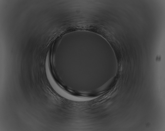 X0000091641202200708301351