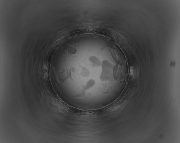 X0000091641203200708301351