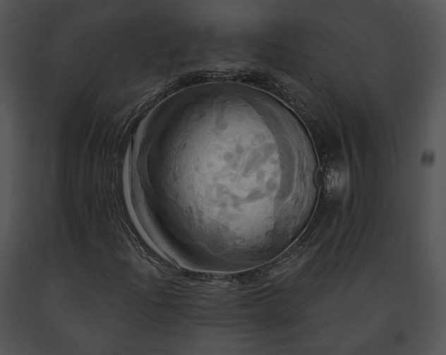 X0000091641204200708301351