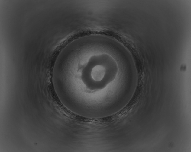 X0000091641205200708301351