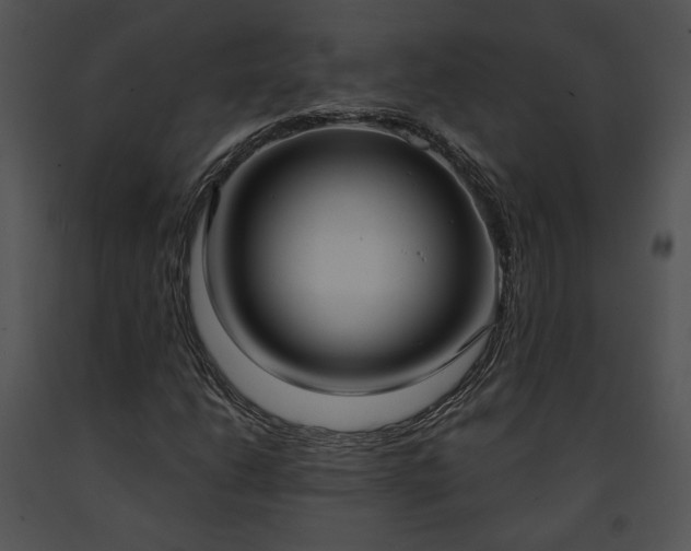 X0000091641206200708301351