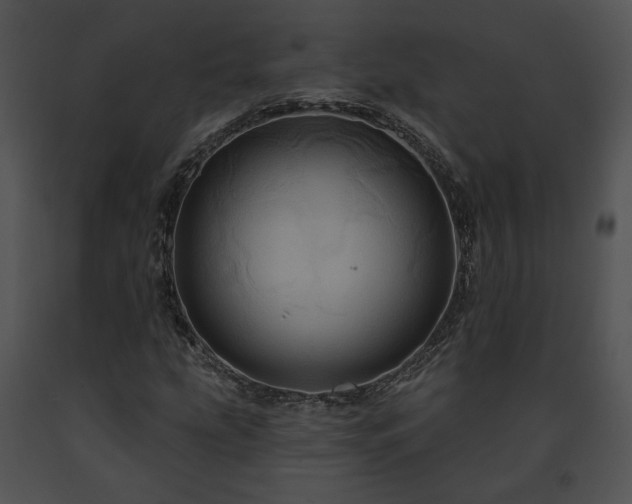 X0000091641207200708301351