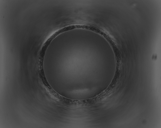X0000091641208200708301351
