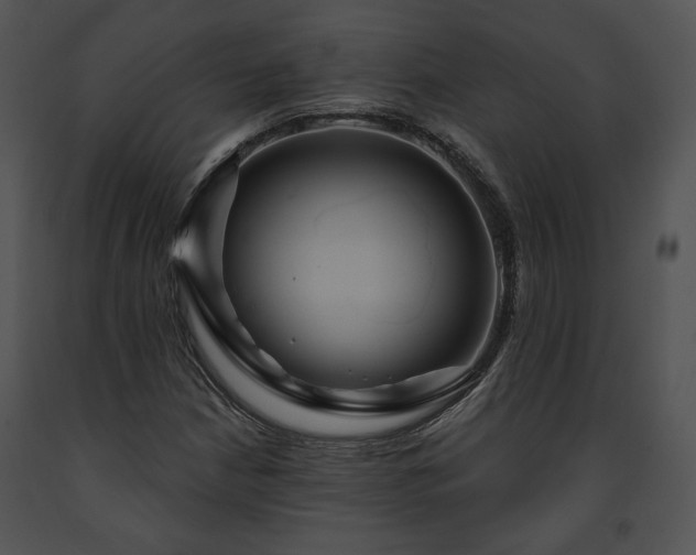 X0000091641210200708301351