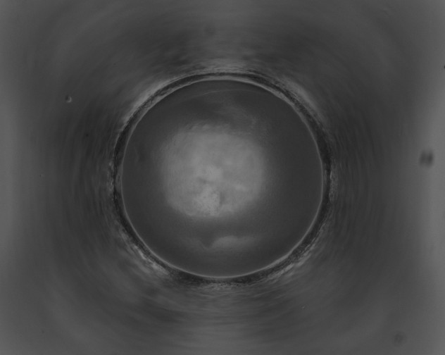 X0000091641212200708301351