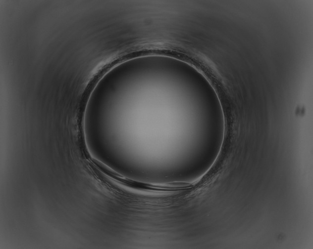 X0000091641218200708301352