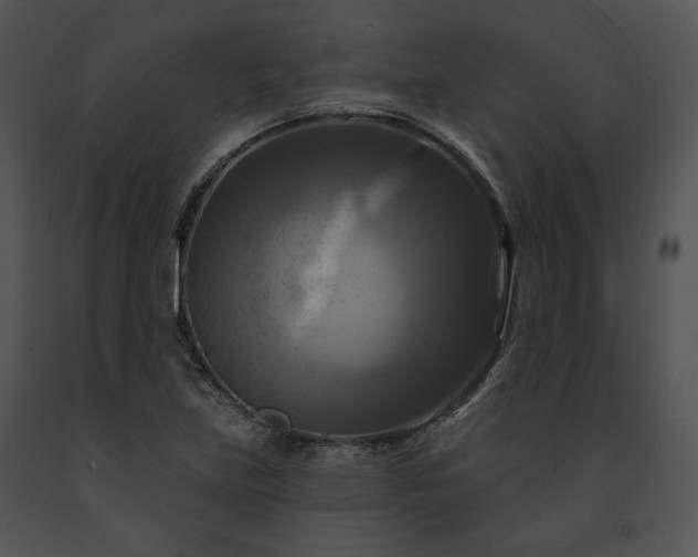 X0000091641219200708301352