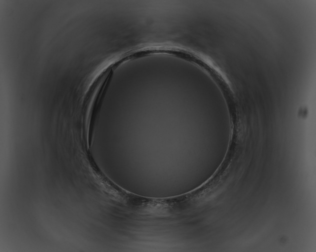 X0000091641221200708301352