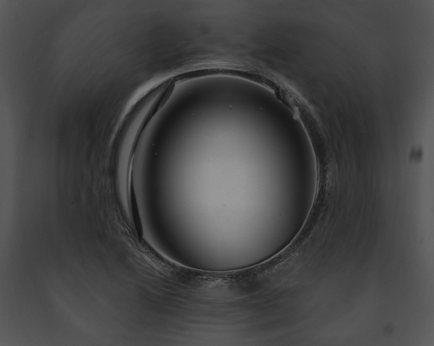 X0000091641222200708301352