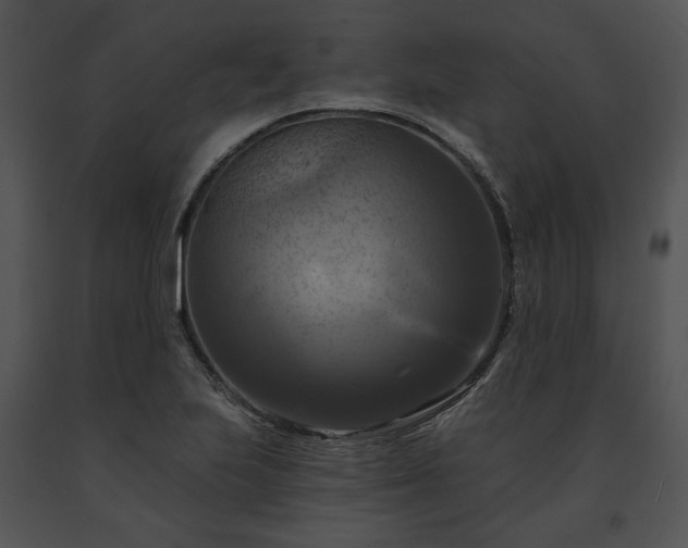 X0000091641223200708301352