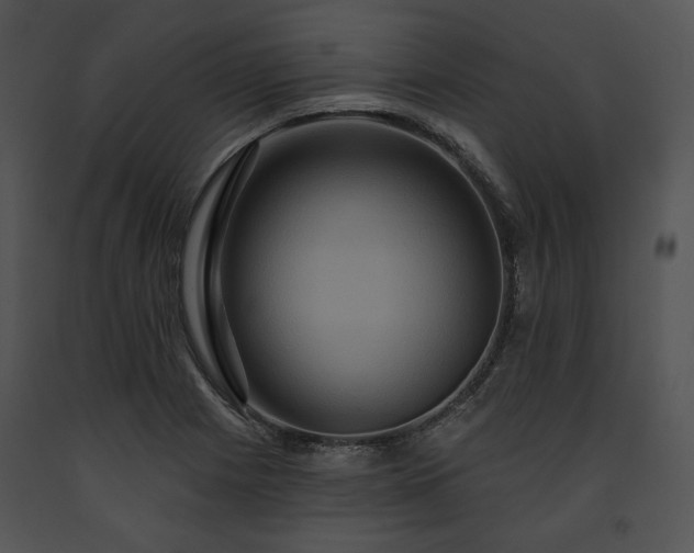 X0000091641225200708301352