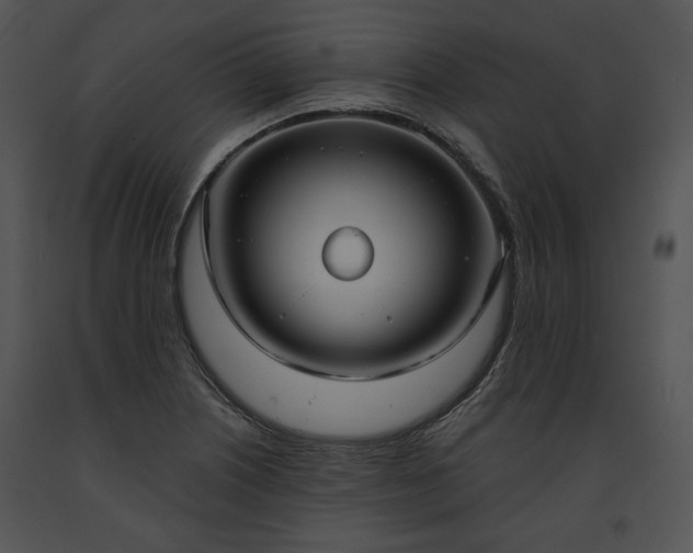X0000091641226200708301352