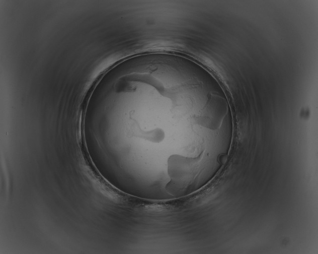 X0000091641227200708301352