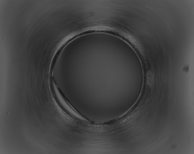 X0000091641229200708301352