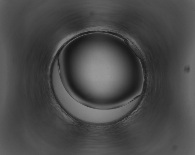 X0000091641230200708301352