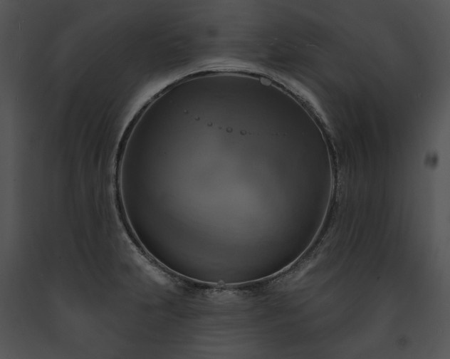 X0000091641231200708301352