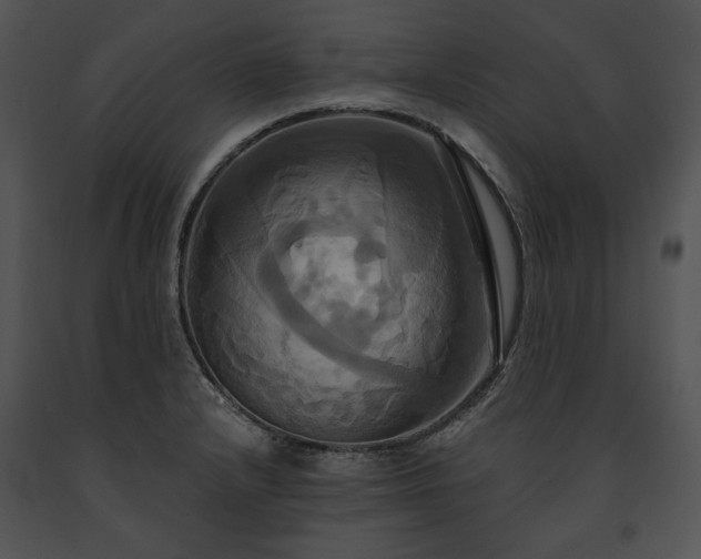 X0000091641232200708301352