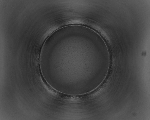 X0000091641233200708301352