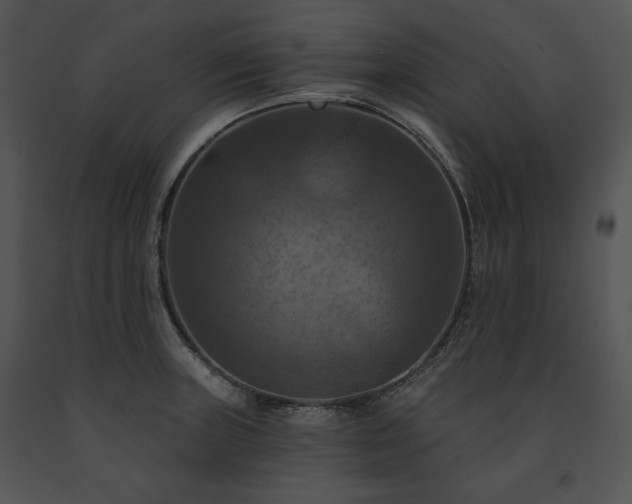 X0000091641235200708301352