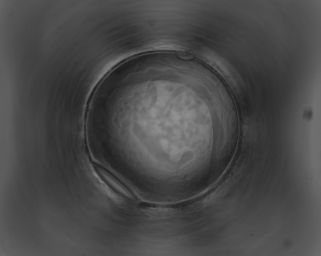 X0000091641236200708301352