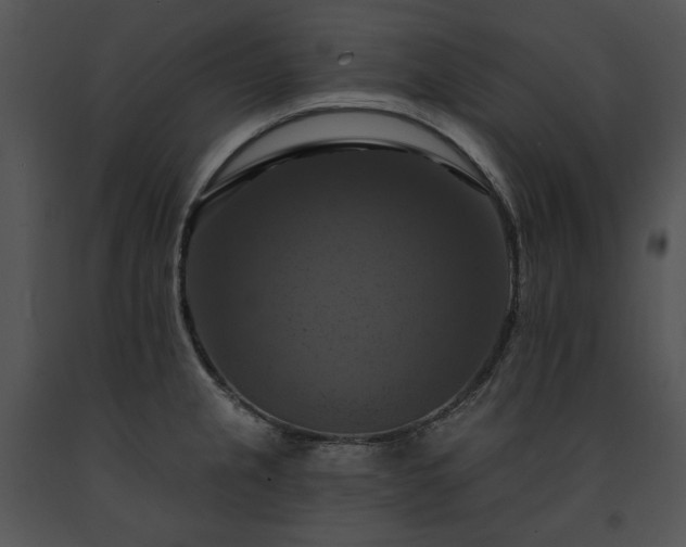 X0000091641237200708301352