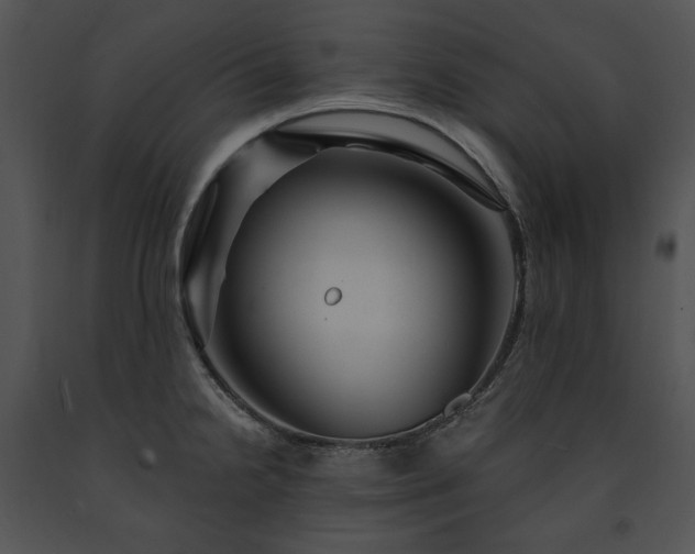 X0000091641238200708301352