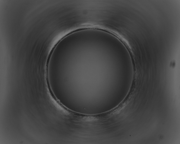 X0000091641239200708301352