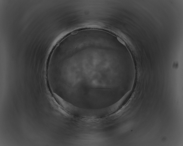 X0000091641240200708301352